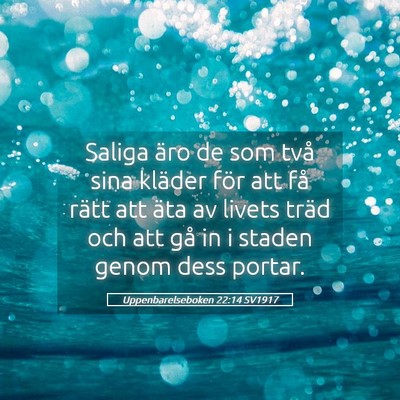 Picture 05 - Uppenbarelseboken 22:14 SV1917 - Saliga äro de som två sina kläder för att få - Bible Verse Picture