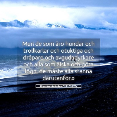 Picture 05 - Uppenbarelseboken 22:15 SV1917 - Men de som äro hundar och trollkarlar och - Bible Verse Picture