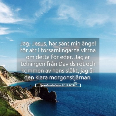Picture 05 - Uppenbarelseboken 22:16 SV1917 - Jag, Jesus, har sänt min ängel för att i - Bible Verse Picture