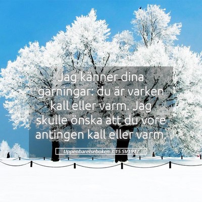 Picture 05 - Uppenbarelseboken 3:15 SV1917 - Jag känner dina gärningar: du är varken kall - Bible Verse Picture