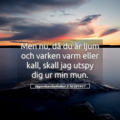 Picture 05 - Uppenbarelseboken 3:16 SV1917 - Men nu, då du är ljum och varken varm eller - Bible Verse Picture