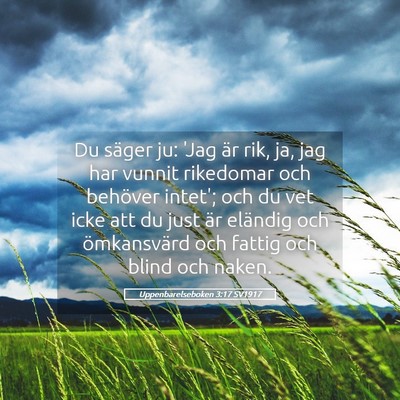 Picture 05 - Uppenbarelseboken 3:17 SV1917 - Du säger ju: 'Jag är rik, ja, jag har vunnit - Bible Verse Picture