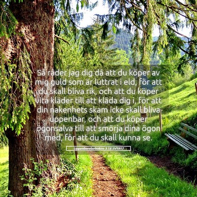 Picture 05 - Uppenbarelseboken 3:18 SV1917 - Så råder jag dig då att du köper av mig guld - Bible Verse Picture
