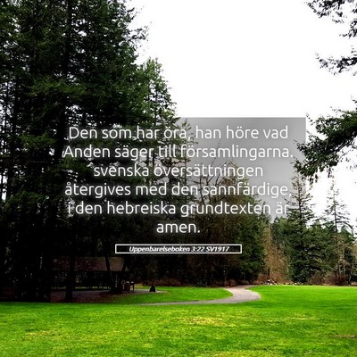 Picture 05 - Uppenbarelseboken 3:22 SV1917 - Den som har öra, han höre vad Anden säger till - Bible Verse Picture