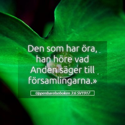 Picture 05 - Uppenbarelseboken 3:6 SV1917 - Den som har öra, han höre vad Anden säger till - Bible Verse Picture