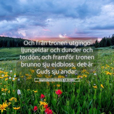 Picture 05 - Uppenbarelseboken 4:5 SV1917 - Och från tronen utgingo ljungeldar och dunder - Bible Verse Picture