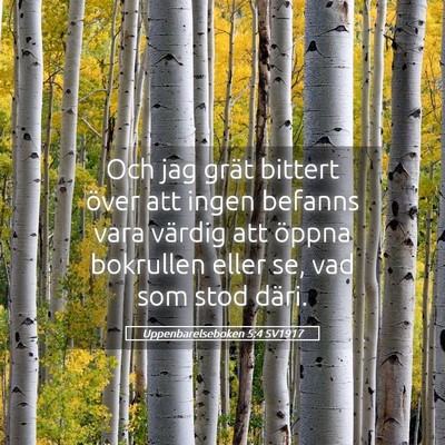 Picture 05 - Uppenbarelseboken 5:4 SV1917 - Och jag grät bittert över att ingen befanns - Bible Verse Picture