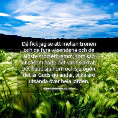 Picture 05 - Uppenbarelseboken 5:6 SV1917 - Då fick jag se att mellan tronen och de fyra - Bible Verse Picture