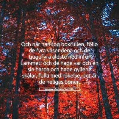 Picture 05 - Uppenbarelseboken 5:8 SV1917 - Och när han tog bokrullen, föllo de fyra - Bible Verse Picture