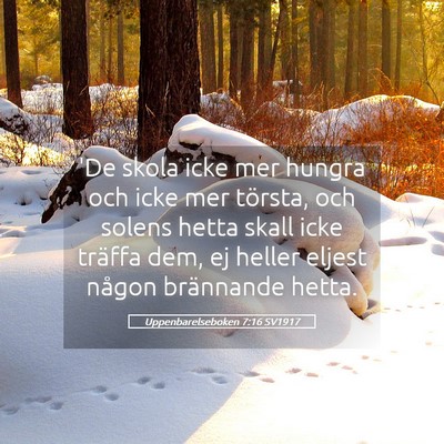Picture 05 - Uppenbarelseboken 7:16 SV1917 - 'De skola icke mer hungra och icke mer törsta, - Bible Verse Picture