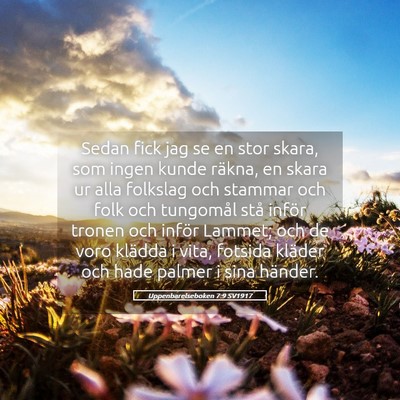 Picture 05 - Uppenbarelseboken 7:9 SV1917 - Sedan fick jag se en stor skara, som ingen kunde - Bible Verse Picture