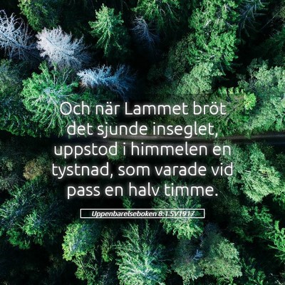 Picture 05 - Uppenbarelseboken 8:1 SV1917 - Och när Lammet bröt det sjunde inseglet, - Bible Verse Picture