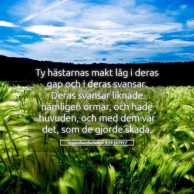 Picture 05 - Uppenbarelseboken 9:19 SV1917 - Ty hästarnas makt låg i deras gap och i deras - Bible Verse Picture