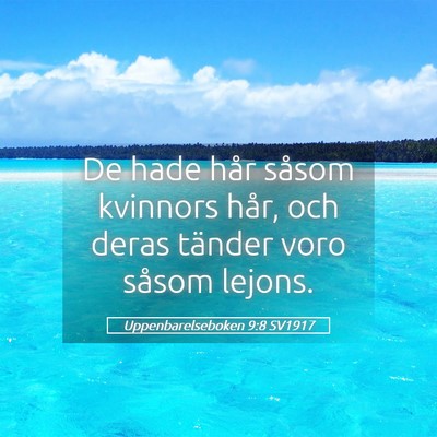 Picture 05 - Uppenbarelseboken 9:8 SV1917 - De hade hår såsom kvinnors hår, och deras - Bible Verse Picture