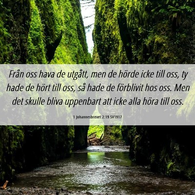 Picture 06 - 1 Johannesbrevet 2:19 SV1917 - Från oss hava de utgått, men de hörde icke - Bible Verse Picture