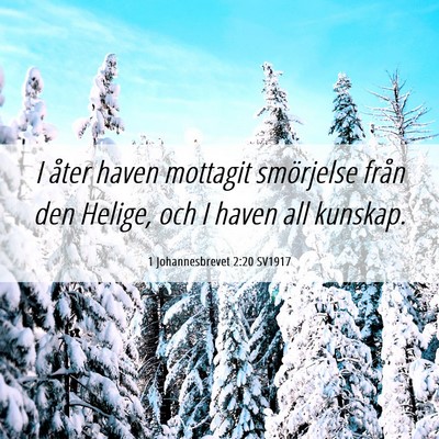 Picture 06 - 1 Johannesbrevet 2:20 SV1917 - I åter haven mottagit smörjelse från den - Bible Verse Picture