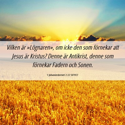 Picture 06 - 1 Johannesbrevet 2:22 SV1917 - Vilken är »Lögnaren», om icke den som - Bible Verse Picture