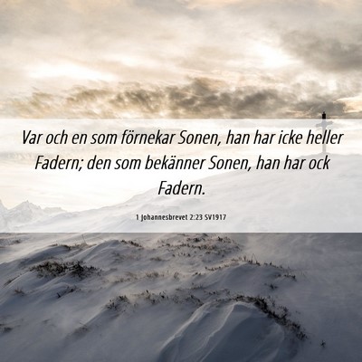 Picture 06 - 1 Johannesbrevet 2:23 SV1917 - Var och en som förnekar Sonen, han har icke - Bible Verse Picture