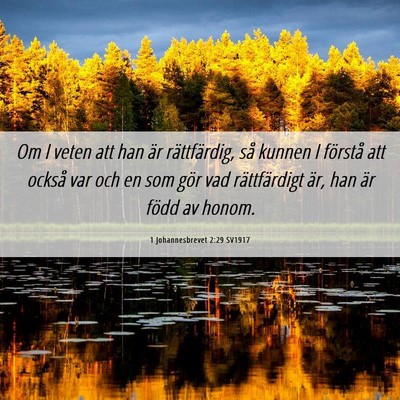 Picture 06 - 1 Johannesbrevet 2:29 SV1917 - Om I veten att han är rättfärdig, så kunnen I - Bible Verse Picture