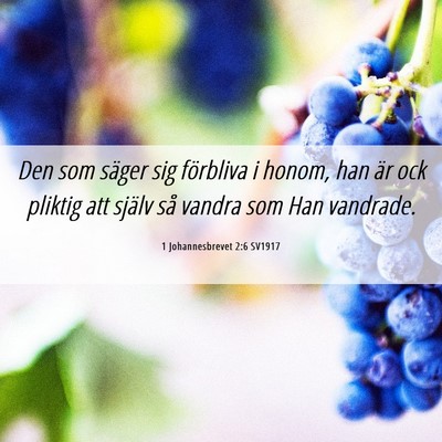 Picture 06 - 1 Johannesbrevet 2:6 SV1917 - Den som säger sig förbliva i honom, han är ock - Bible Verse Picture