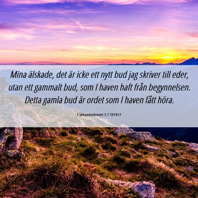 Picture 06 - 1 Johannesbrevet 2:7 SV1917 - Mina älskade, det är icke ett nytt bud jag - Bible Verse Picture
