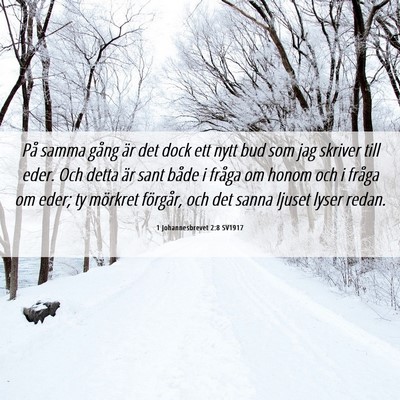 Picture 06 - 1 Johannesbrevet 2:8 SV1917 - På samma gång är det dock ett nytt bud som jag - Bible Verse Picture