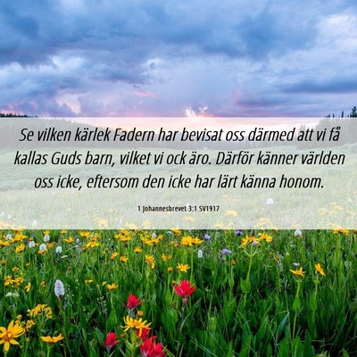 Picture 06 - 1 Johannesbrevet 3:1 SV1917 - Se vilken kärlek Fadern har bevisat oss därmed - Bible Verse Picture