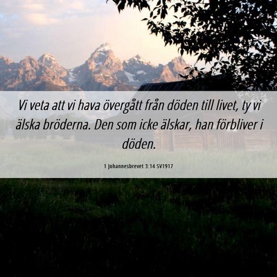 Picture 06 - 1 Johannesbrevet 3:14 SV1917 - Vi veta att vi hava övergått från döden till - Bible Verse Picture