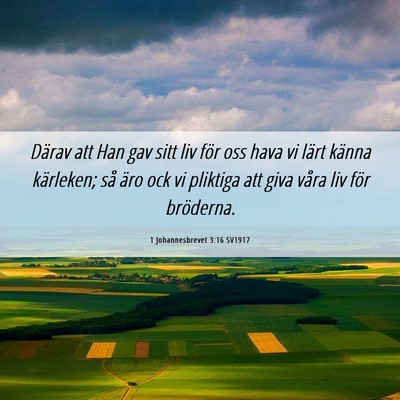 Picture 06 - 1 Johannesbrevet 3:16 SV1917 - Därav att Han gav sitt liv för oss hava vi - Bible Verse Picture