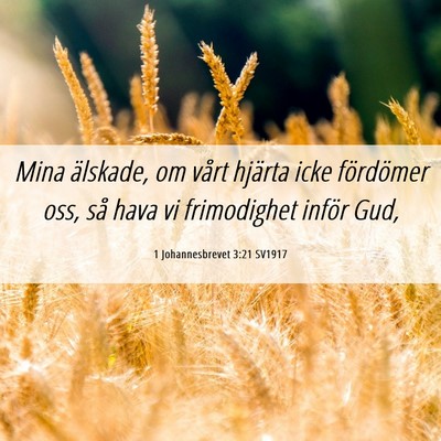 Picture 06 - 1 Johannesbrevet 3:21 SV1917 - Mina älskade, om vårt hjärta icke fördömer - Bible Verse Picture