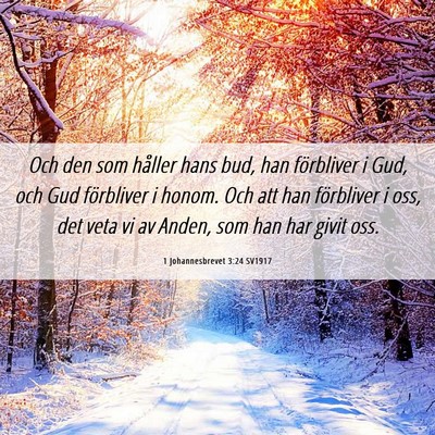 Picture 06 - 1 Johannesbrevet 3:24 SV1917 - Och den som håller hans bud, han förbliver i - Bible Verse Picture