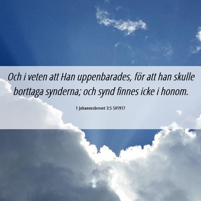Picture 06 - 1 Johannesbrevet 3:5 SV1917 - Och i veten att Han uppenbarades, för att han - Bible Verse Picture