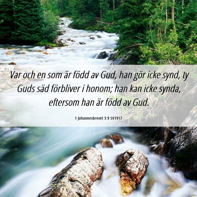 Picture 06 - 1 Johannesbrevet 3:9 SV1917 - Var och en som är född av Gud, han gör icke - Bible Verse Picture