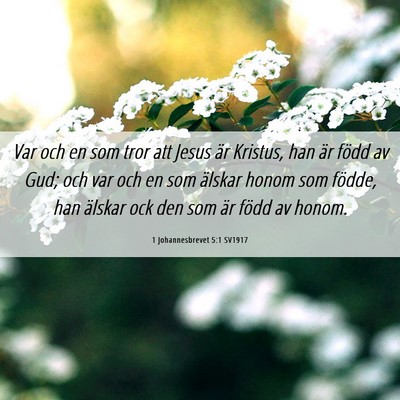 Picture 06 - 1 Johannesbrevet 5:1 SV1917 - Var och en som tror att Jesus är Kristus, han - Bible Verse Picture