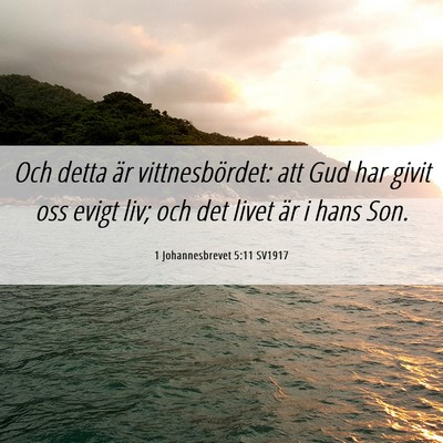 Picture 06 - 1 Johannesbrevet 5:11 SV1917 - Och detta är vittnesbördet: att Gud har givit - Bible Verse Picture