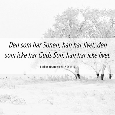 Picture 06 - 1 Johannesbrevet 5:12 SV1917 - Den som har Sonen, han har livet; den som icke - Bible Verse Picture