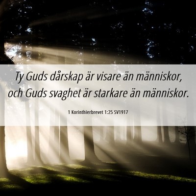Picture 06 - 1 Korinthierbrevet 1:25 SV1917 - Ty Guds dårskap är visare än människor, och - Bible Verse Picture