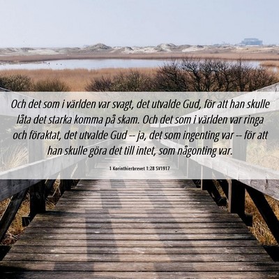 Picture 06 - 1 Korinthierbrevet 1:28 SV1917 - Och det som i världen var svagt, det utvalde - Bible Verse Picture