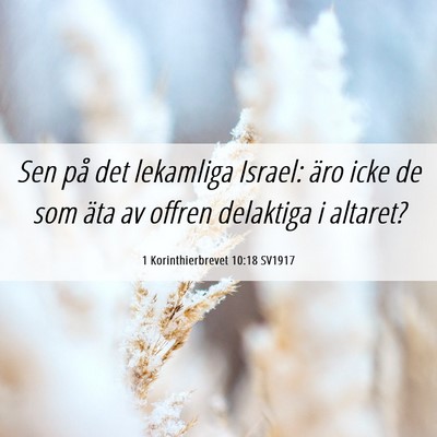 Picture 06 - 1 Korinthierbrevet 10:18 SV1917 - Sen på det lekamliga Israel: äro icke de som - Bible Verse Picture