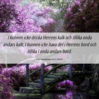 Picture 06 - 1 Korinthierbrevet 10:21 SV1917 - I kunnen icke dricka Herrens kalk och tillika - Bible Verse Picture