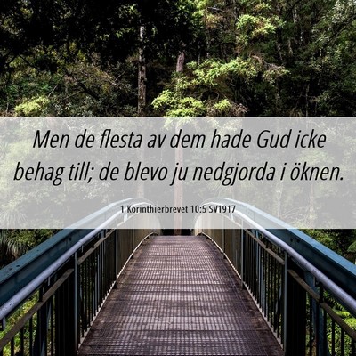 Picture 06 - 1 Korinthierbrevet 10:5 SV1917 - Men de flesta av dem hade Gud icke behag till; de - Bible Verse Picture