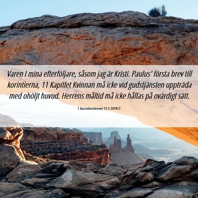 Picture 06 - 1 Korinthierbrevet 11:1 SV1917 - Varen I mina efterföljare, såsom jag är - Bible Verse Picture