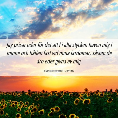 Picture 06 - 1 Korinthierbrevet 11:2 SV1917 - Jag prisar eder för det att I i alla stycken - Bible Verse Picture