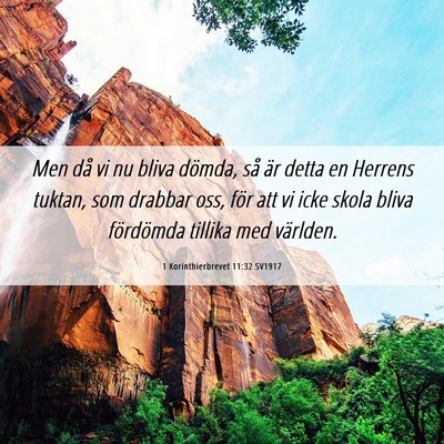 Picture 06 - 1 Korinthierbrevet 11:32 SV1917 - Men då vi nu bliva dömda, så är detta en - Bible Verse Picture
