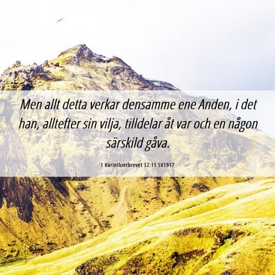 Picture 06 - 1 Korinthierbrevet 12:11 SV1917 - Men allt detta verkar densamme ene Anden, i det - Bible Verse Picture