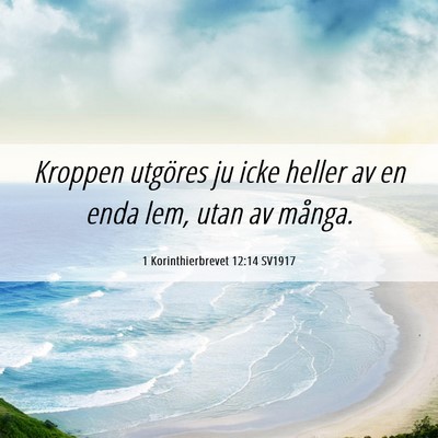 Picture 06 - 1 Korinthierbrevet 12:14 SV1917 - Kroppen utgöres ju icke heller av en enda lem, - Bible Verse Picture