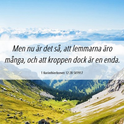 Picture 06 - 1 Korinthierbrevet 12:20 SV1917 - Men nu är det så, att lemmarna äro många, och - Bible Verse Picture