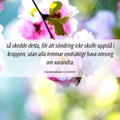 Picture 06 - 1 Korinthierbrevet 12:25 SV1917 - så skedde detta, för att söndring icke skulle - Bible Verse Picture