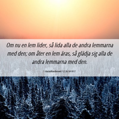 Picture 06 - 1 Korinthierbrevet 12:26 SV1917 - Om nu en lem lider, så lida alla de andra - Bible Verse Picture