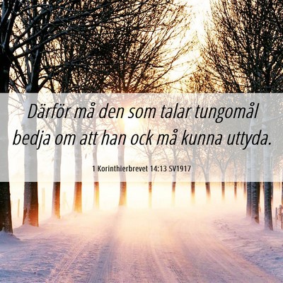 Picture 06 - 1 Korinthierbrevet 14:13 SV1917 - Därför må den som talar tungomål bedja om att - Bible Verse Picture
